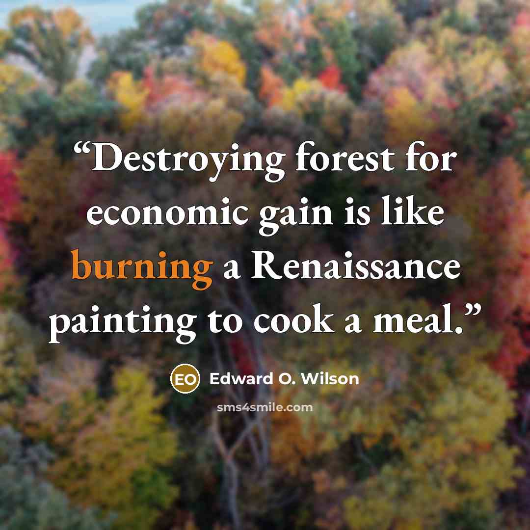 “Destroying forest for economic gain is like burning a Renaissance painting to cook a meal.” quote by Edward O. Wilson