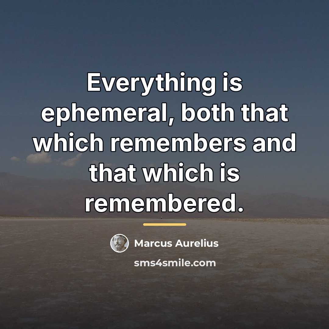 “Everything is ephemeral, both that which remembers and that which…” quote by Marcus Aurelius