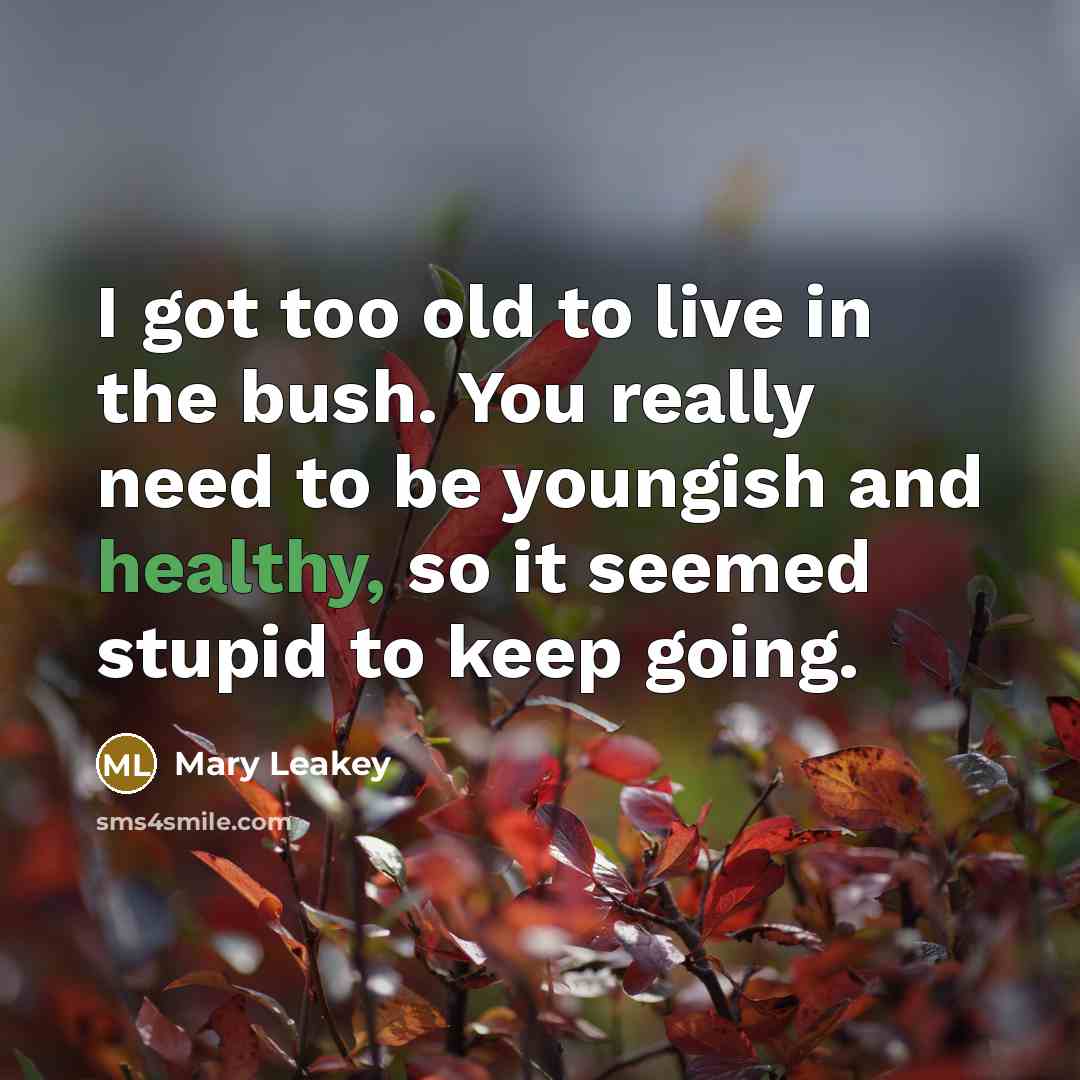 “I got too old to live in the bush. You…” quote by Mary Leakey