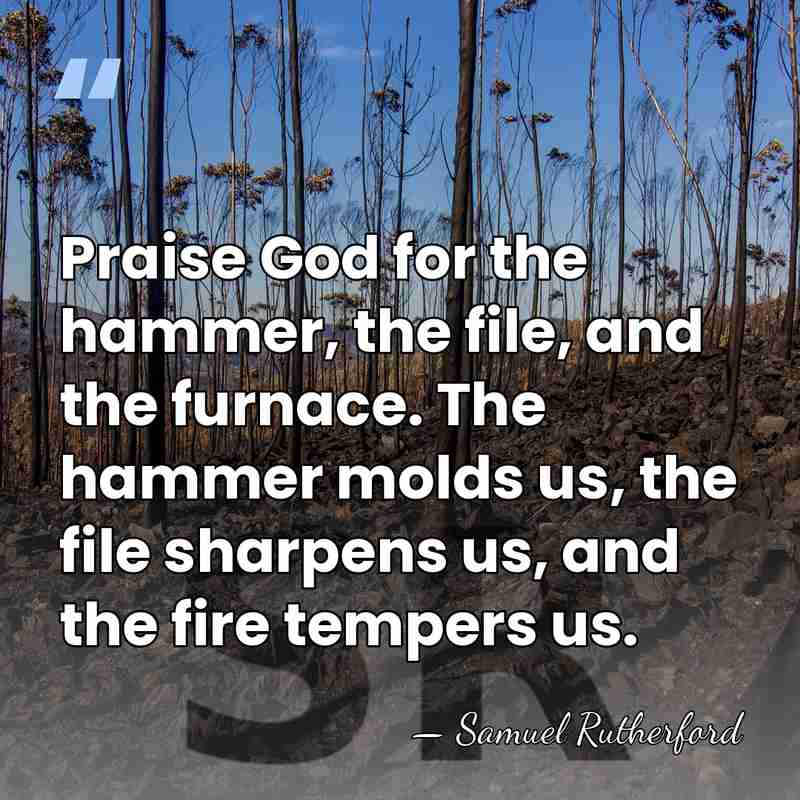 Praise God for the hammer, the file, and the furnace. The hammer&hellip; - Samuel Rutherford