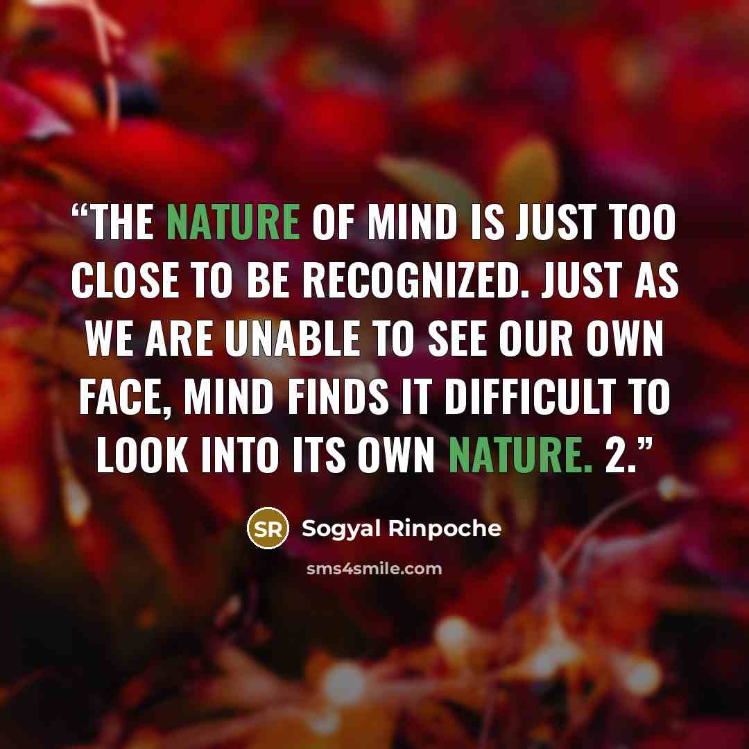 “The nature of mind is just too close to be recognized. Just as we are unable to see our own face, mind finds it difficult to look into its own nature. 2.” quote by Sogyal Rinpoche