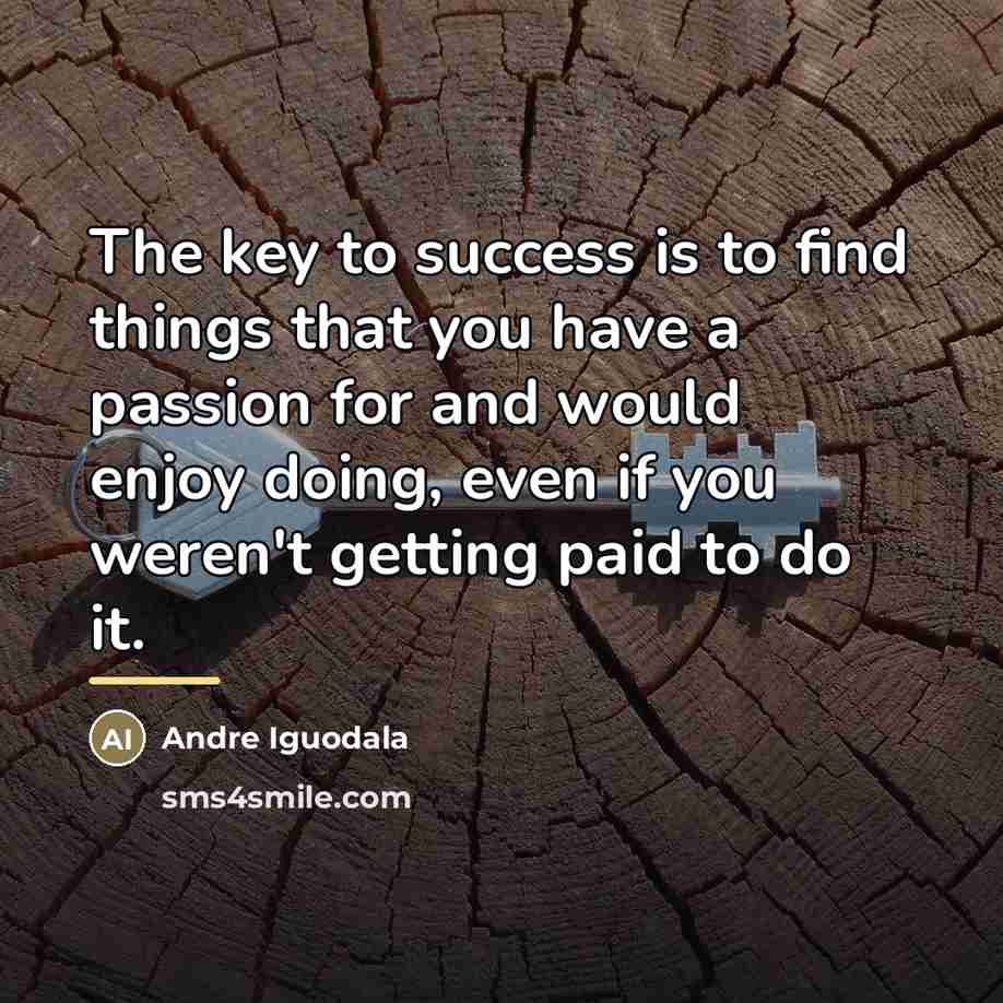 “The key to success is to find things that you…” quote by Andre Iguodala