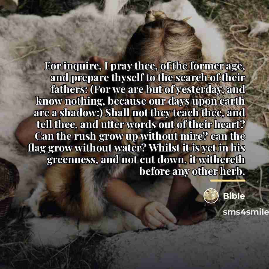 “For inquire, I pray thee, of the former age, and…” quote by Bible