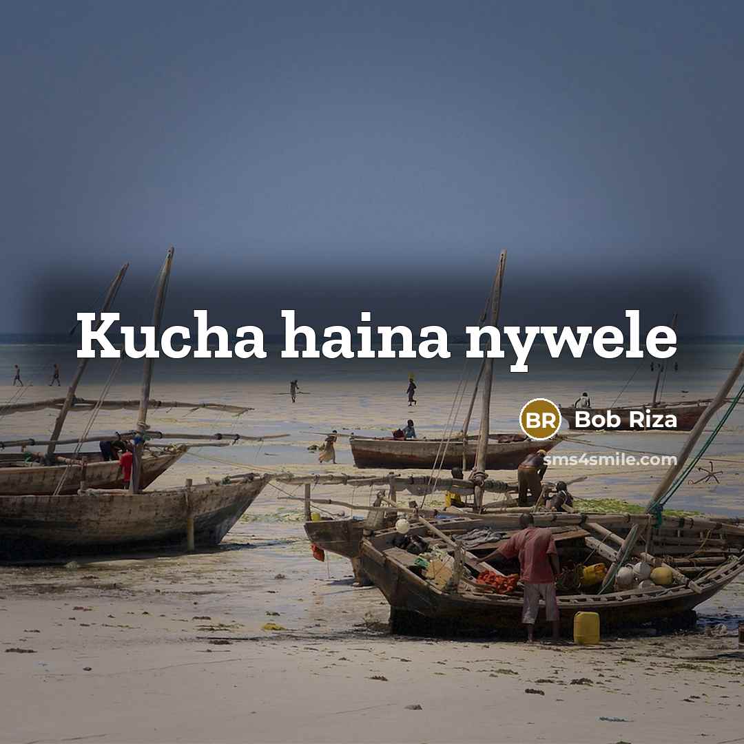 “Kucha haina nywele” quote by Bob Riza