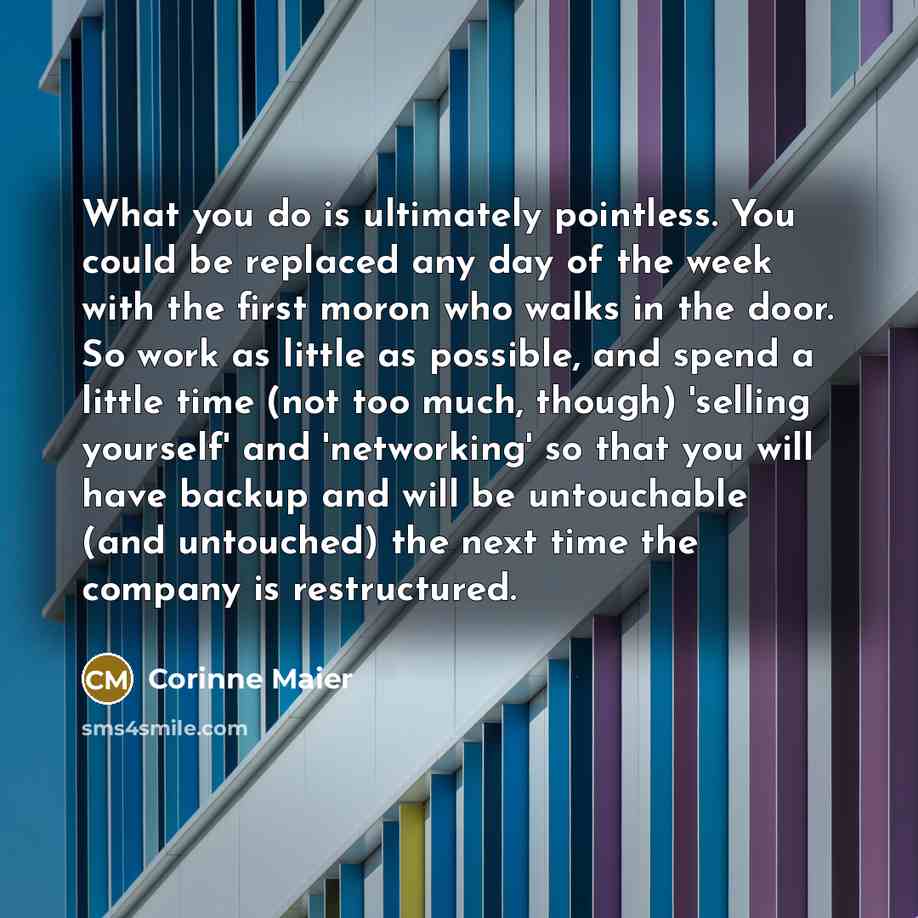 “What you do is ultimately pointless. You could be replaced…” quote by Corinne Maier