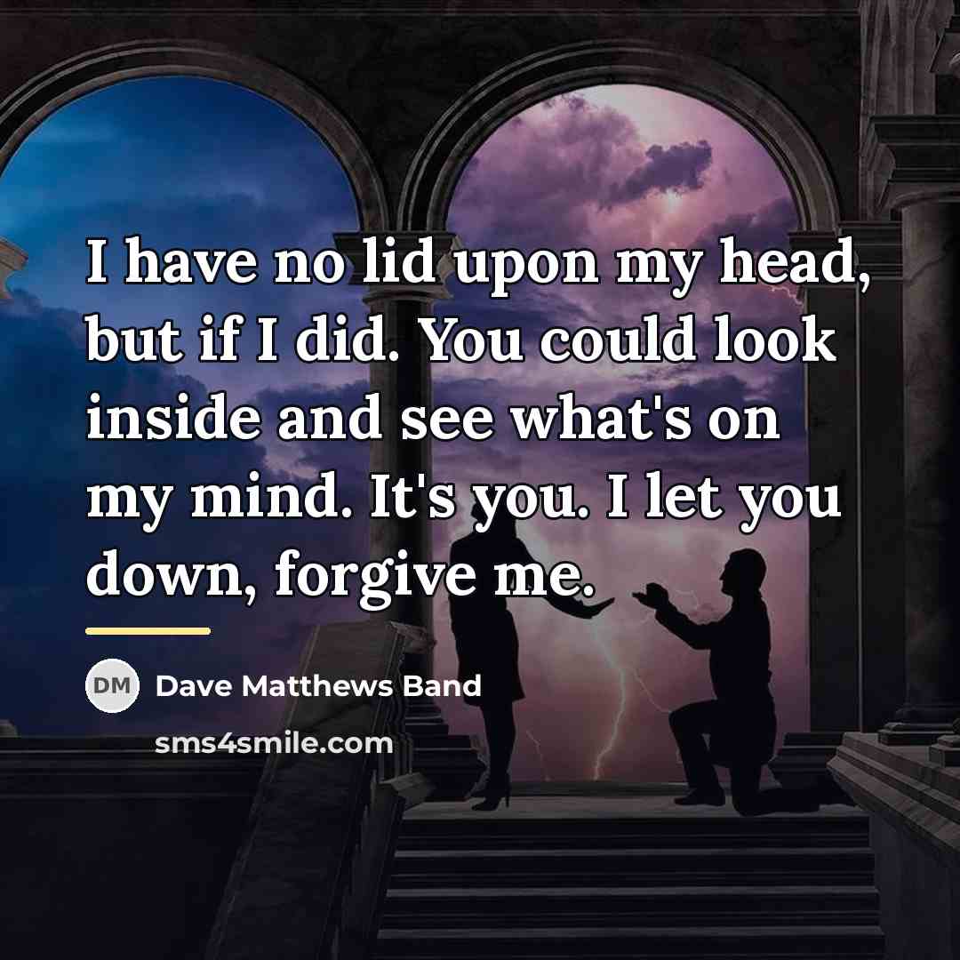 “I have no lid upon my head, but if I…” quote by Dave Matthews Band