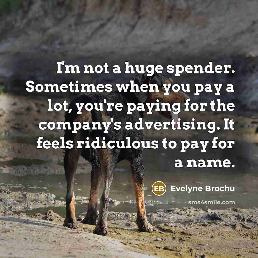 “I'm not a huge spender. Sometimes when you pay a…” quote by Evelyne Brochu