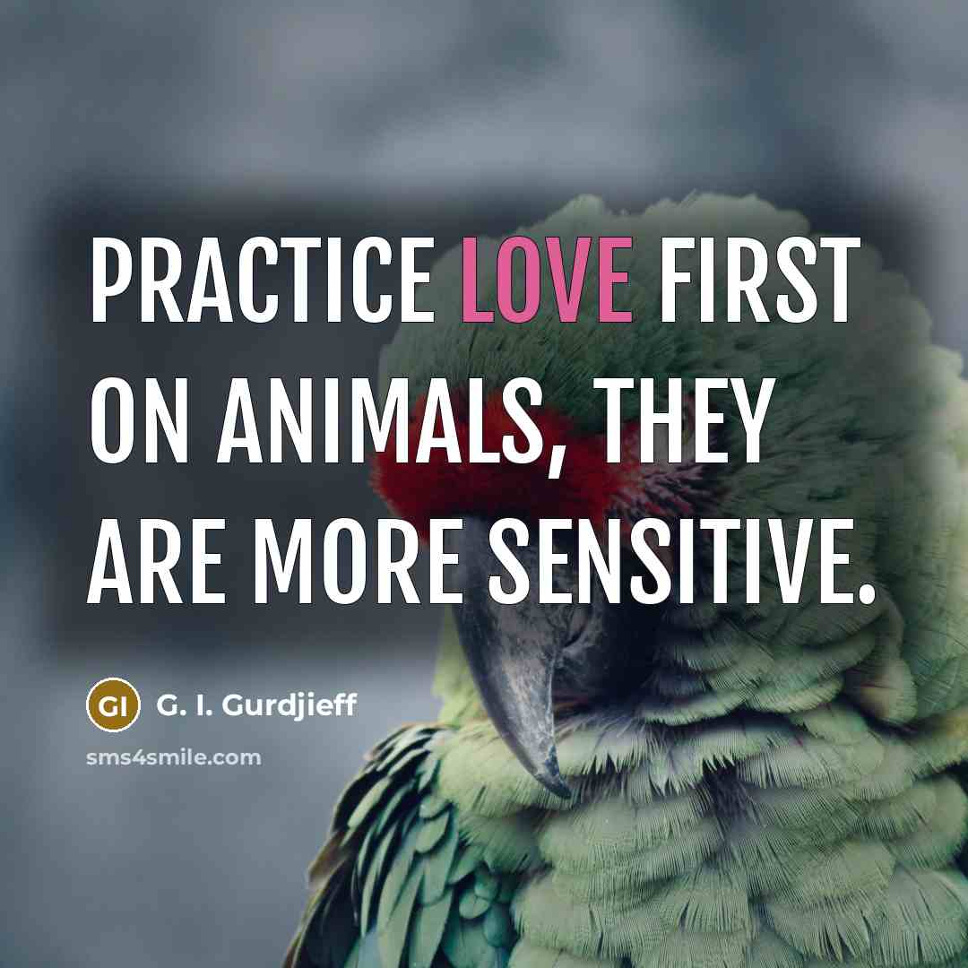 “Practice love first on animals, they are more sensitive.…” quote by G. I. Gurdjieff