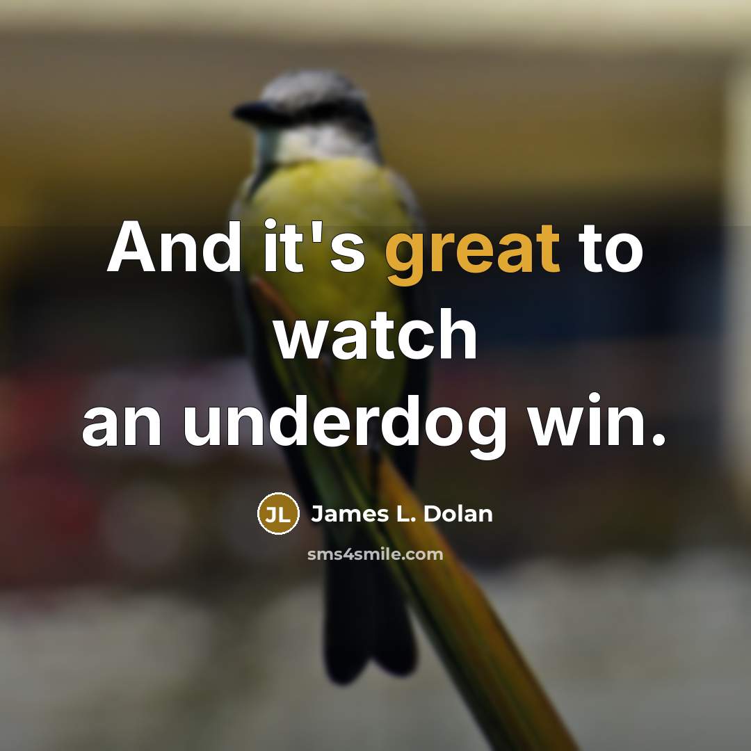 “And it's great to watch an underdog win.…” quote by James L. Dolan