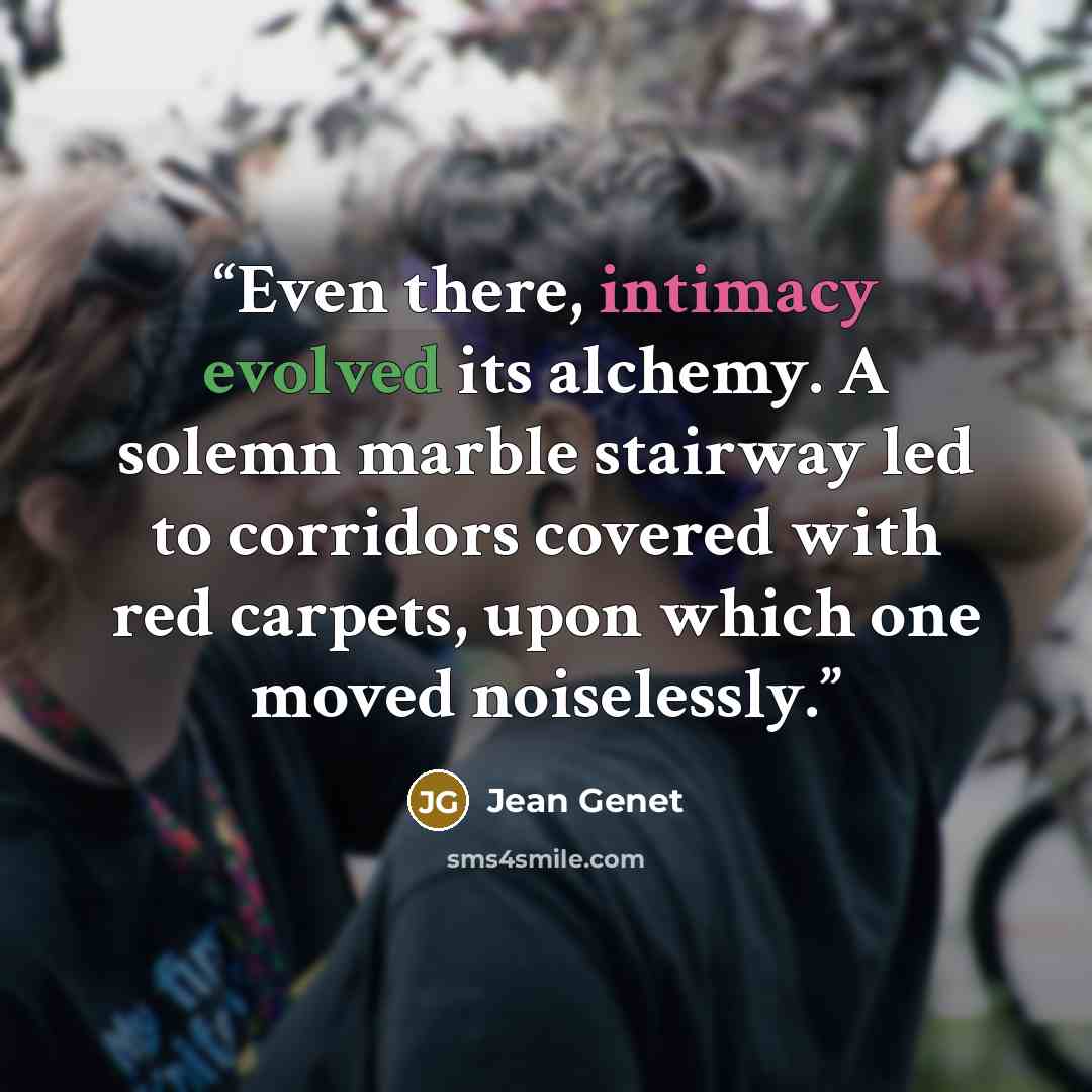 “Even there, intimacy evolved its alchemy. A solemn marble stairway led to corridors covered with red carpets, upon which one moved noiselessly.” quote by Jean Genet