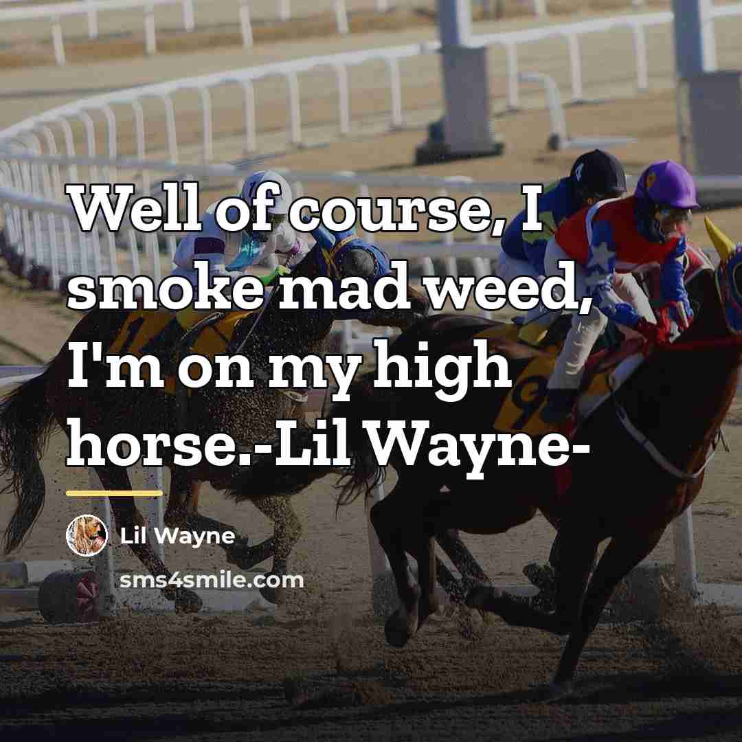 “Well of course, I smoke mad weed, I'm on my…” quote by Lil Wayne