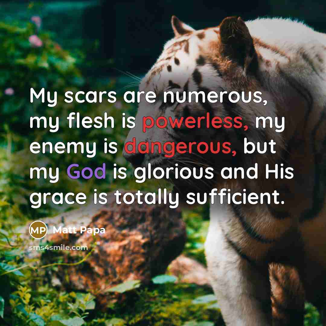 “My scars are numerous, my flesh is powerless, my enemy…” quote by Matt Papa