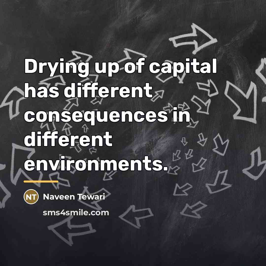 “Drying up of capital has different consequences in different environments.…” quote by Naveen Tewari