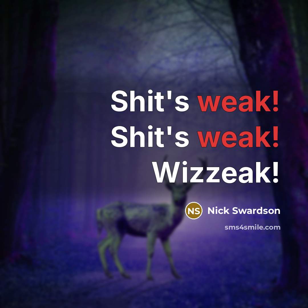 “Shit's weak! Shit's weak! Wizzeak!” quote by Nick Swardson