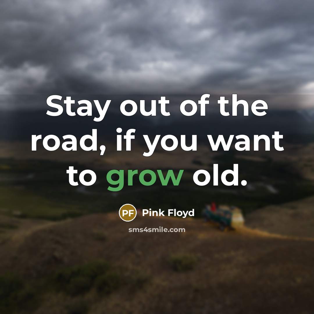 “Stay out of the road, if you want to grow…” quote by Pink Floyd