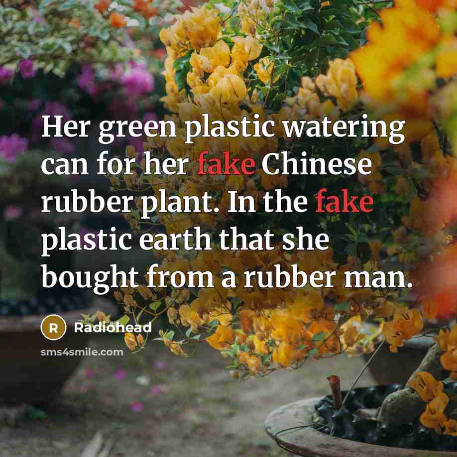 “Her green plastic watering can for her fake Chinese rubber…” quote by Radiohead