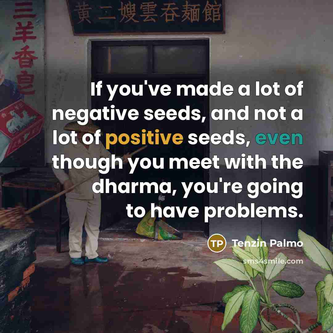 “If you've made a lot of negative seeds, and not…” quote by Tenzin Palmo