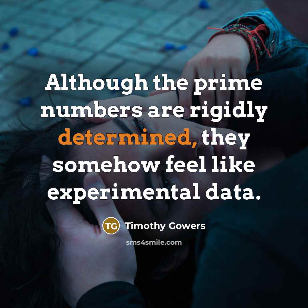 “Although the prime numbers are rigidly determined, they somehow feel…” quote by Timothy Gowers