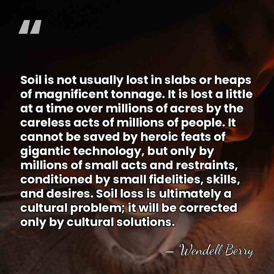Soil is not usually lost in slabs or heaps of magnificent tonnage.&hellip; - Wendell Berry