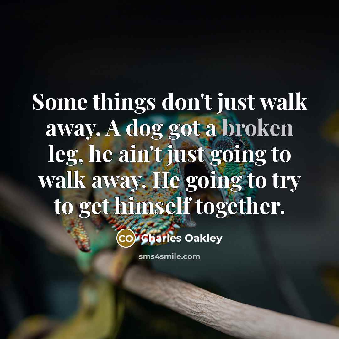 “Some things don't just walk away. A dog got a broken leg, he ain't just going to walk away. He going to try to get himself together.” quote by Charles Oakley