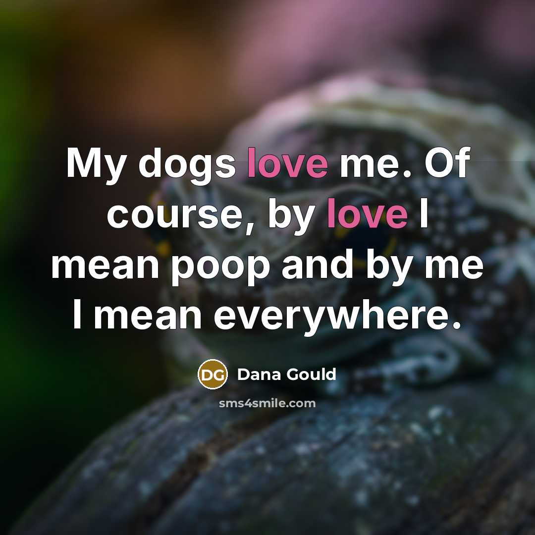 “My dogs love me. Of course, by love I mean poop and by me I mean everywhere.” quote by Dana Gould