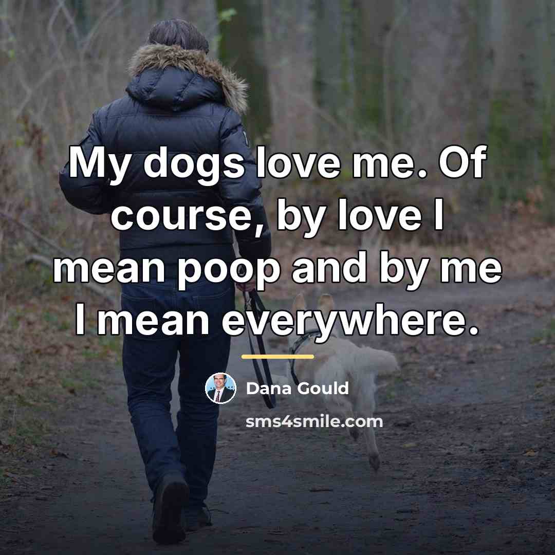 “My dogs love me. Of course, by love I mean…” quote by Dana Gould
