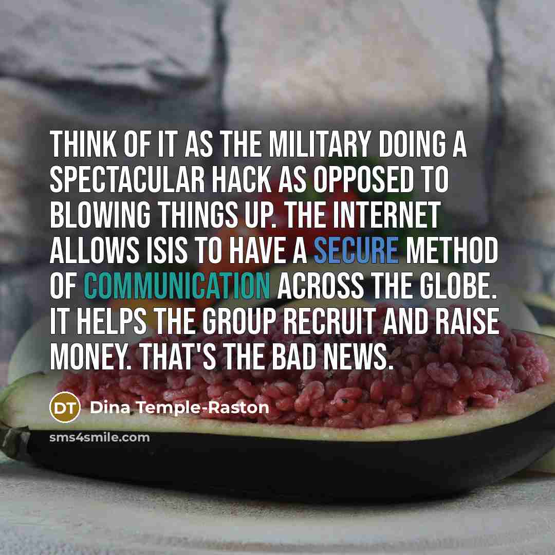 “Think of it as the military doing a spectacular hack…” quote by Dina Temple-Raston