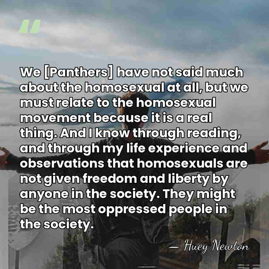 We [Panthers] have not said much about the homosexual at all, but&hellip; - Huey Newton