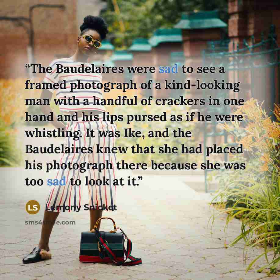 “The Baudelaires were sad to see a framed photograph of a kind-looking man with a handful of crackers in one hand and his lips pursed as if he were whistling. It was Ike, and the Baudelaires knew that she had placed his photograph there because she was too sad to look at it.” quote by Lemony Snicket