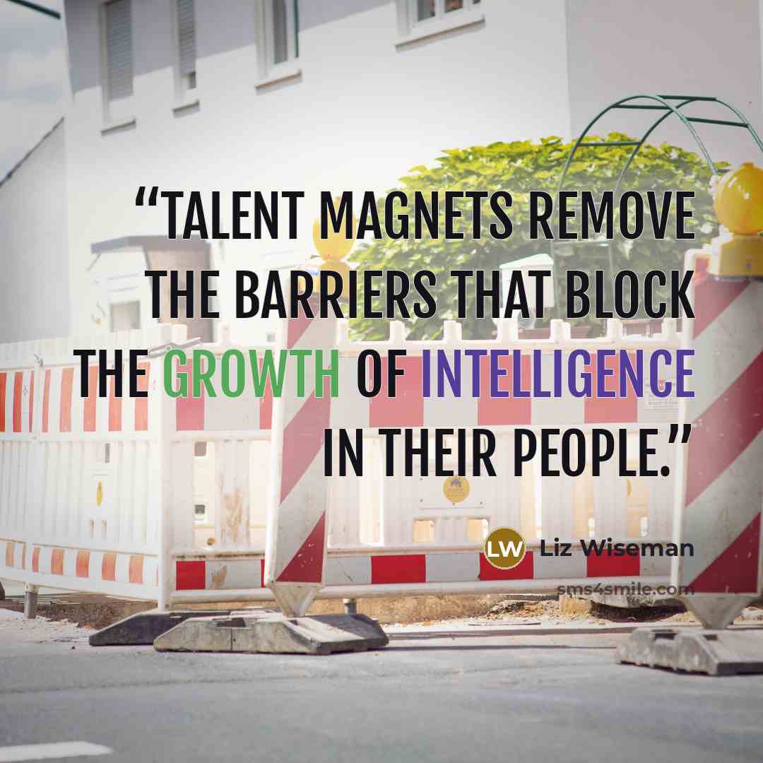 “Talent Magnets remove the barriers that block the growth of intelligence in their people.” quote by Liz Wiseman