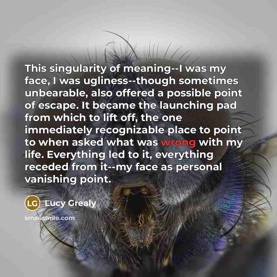 “This singularity of meaning--I was my face, I was ugliness--though…” quote by Lucy Grealy