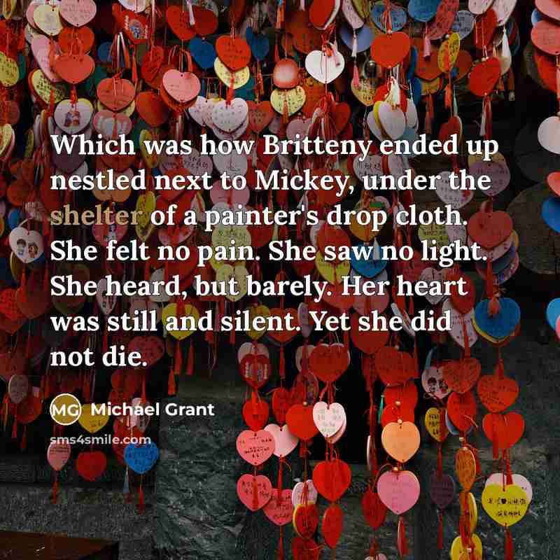 “Which was how Britteny ended up nestled next to Mickey,…” quote by Michael Grant
