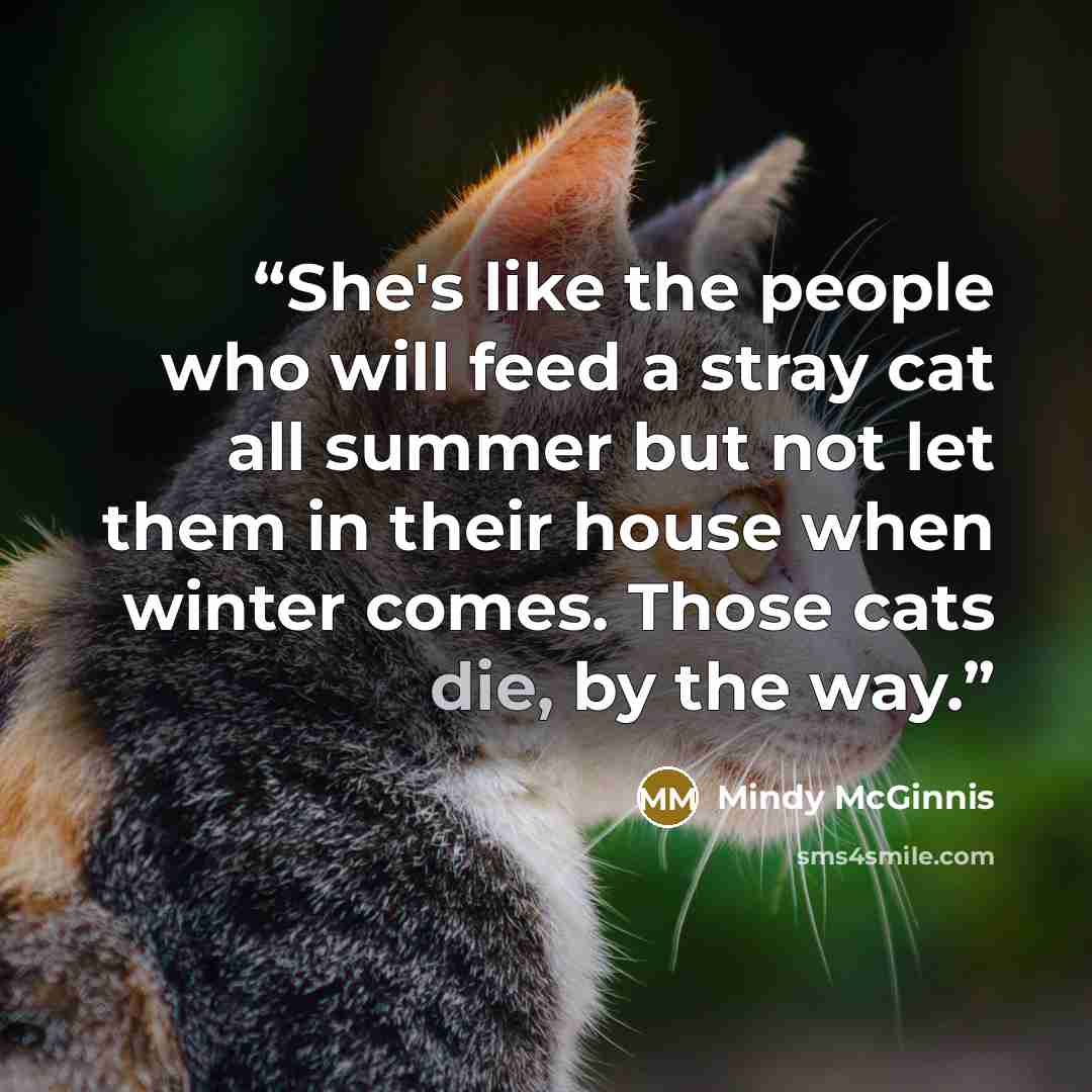 “She's like the people who will feed a stray cat all summer but not let them in their house when winter comes. Those cats die, by the way.” quote by Mindy McGinnis