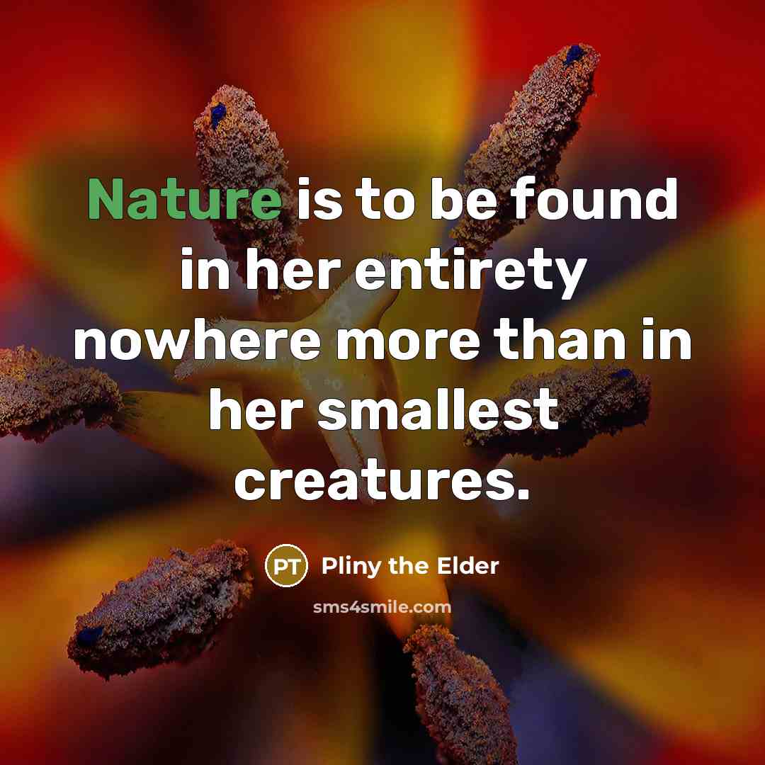 “Nature is to be found in her entirety nowhere more…” quote by Pliny the Elder