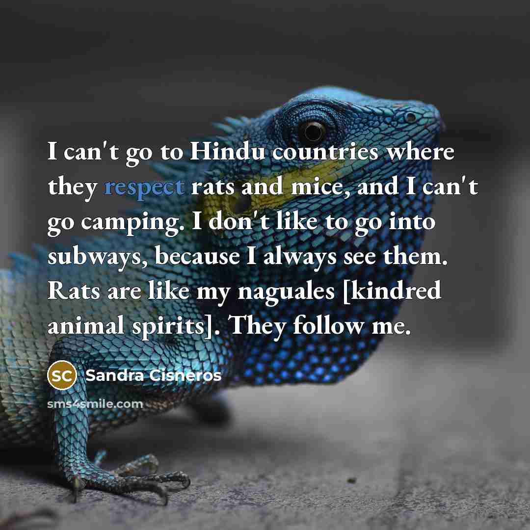 “I can't go to Hindu countries where they respect rats…” quote by Sandra Cisneros