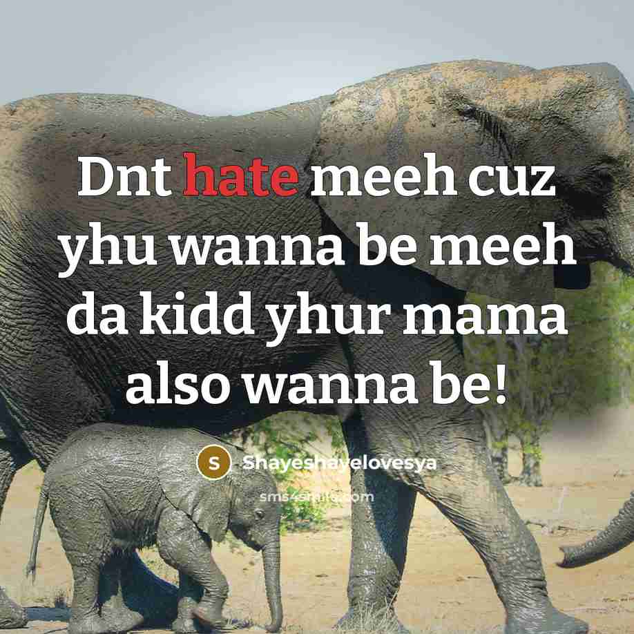“Dnt hate meeh cuz yhu wanna be meeh da kidd yhur mama also wanna be!” quote by Shayeshayelovesya