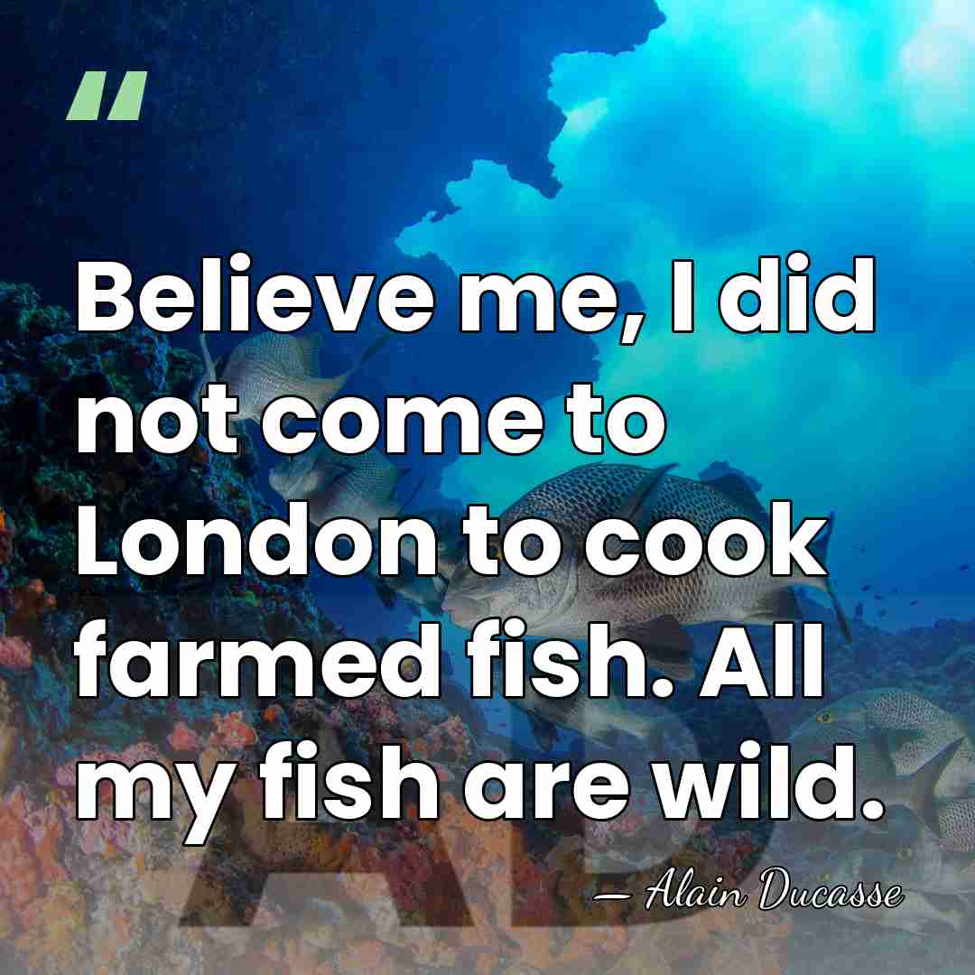 Believe me, I did not come to London to cook farmed fish.&hellip; - Alain Ducasse