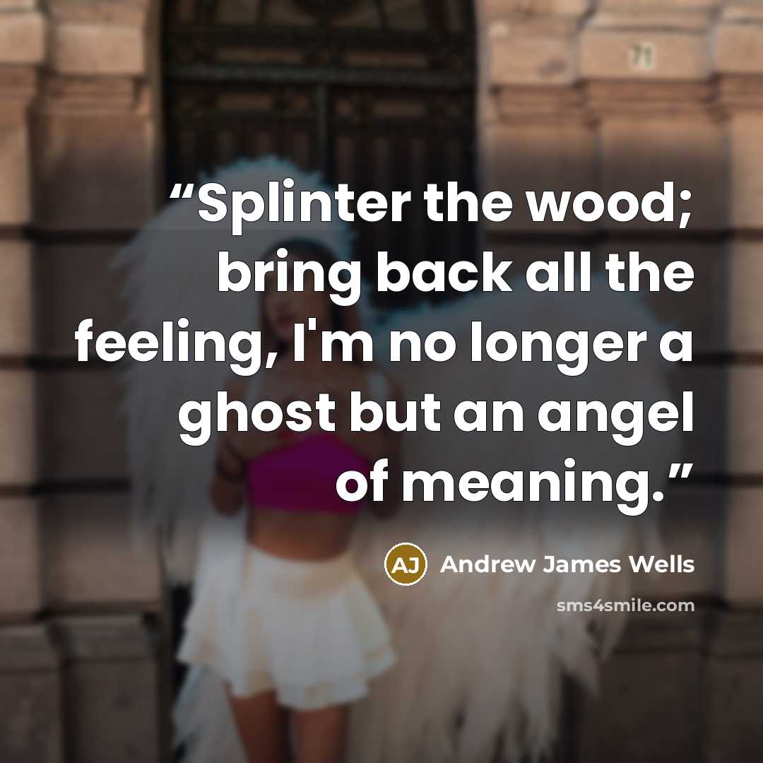“Splinter the wood; bring back all the feeling, I'm no longer a ghost but an angel of meaning.” quote by Andrew James Wells