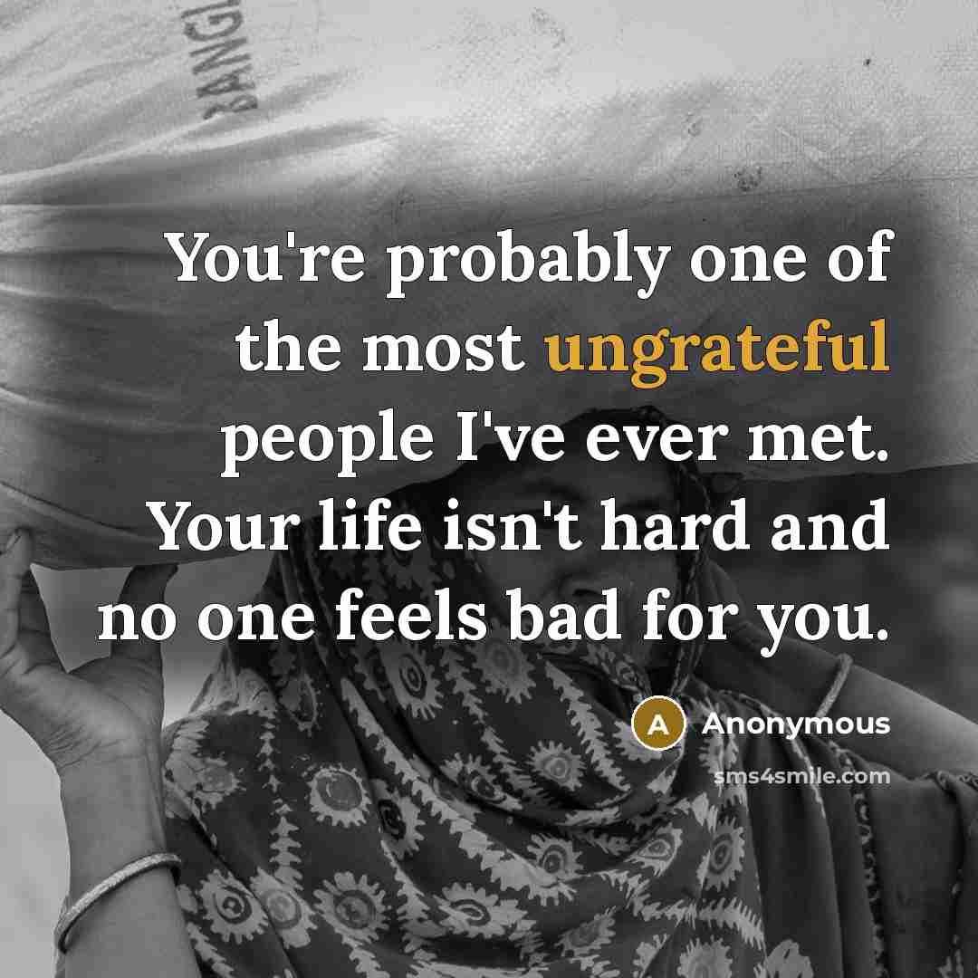“You're probably one of the most ungrateful people I've ever met. Your life isn't hard and no one feels bad for you.” quote by Anonymous
