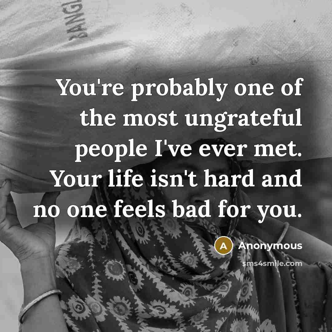 “You're probably one of the most ungrateful people I've ever…” quote by Anonymous