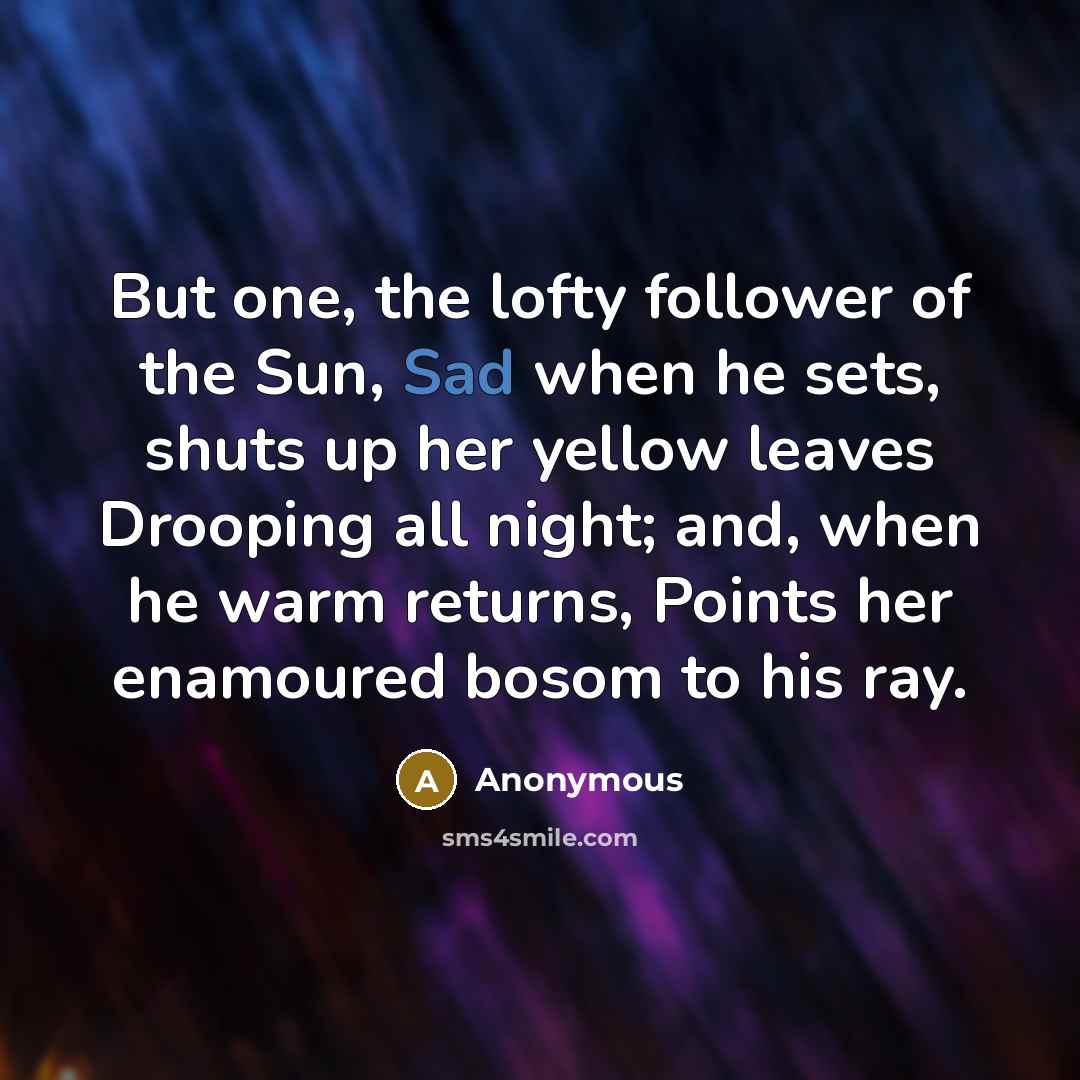 “But one, the lofty follower of the Sun, Sad when…” quote by Anonymous