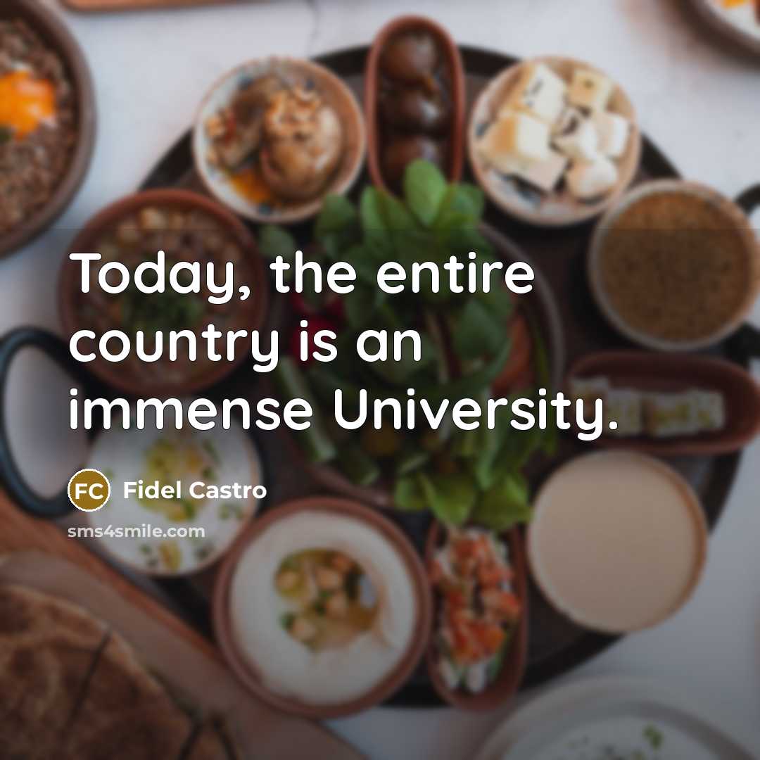 “Today, the entire country is an immense University.…” quote by Fidel Castro