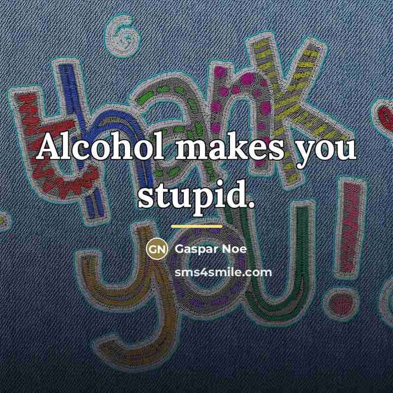 “Alcohol makes you stupid.…” quote by Gaspar Noe