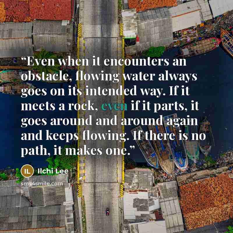 “Even when it encounters an obstacle, flowing water always goes on its intended way. If it meets a rock, even if it parts, it goes around and around again and keeps flowing. If there is no path, it makes one.” quote by Ilchi Lee