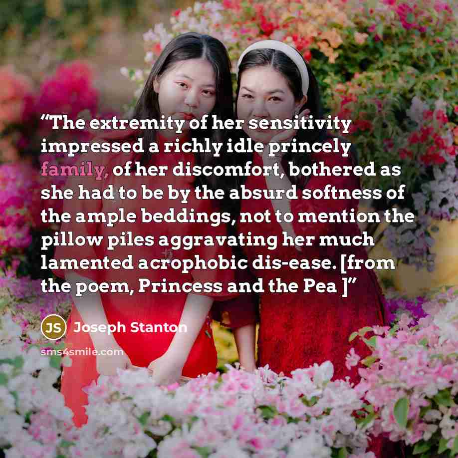 “The extremity of her sensitivity impressed a richly idle princely family, of her discomfort, bothered as she had to be by the absurd softness of the ample beddings, not to mention the pillow piles aggravating her much lamented acrophobic dis-ease. [from the poem, Princess and the Pea ]” quote by Joseph Stanton