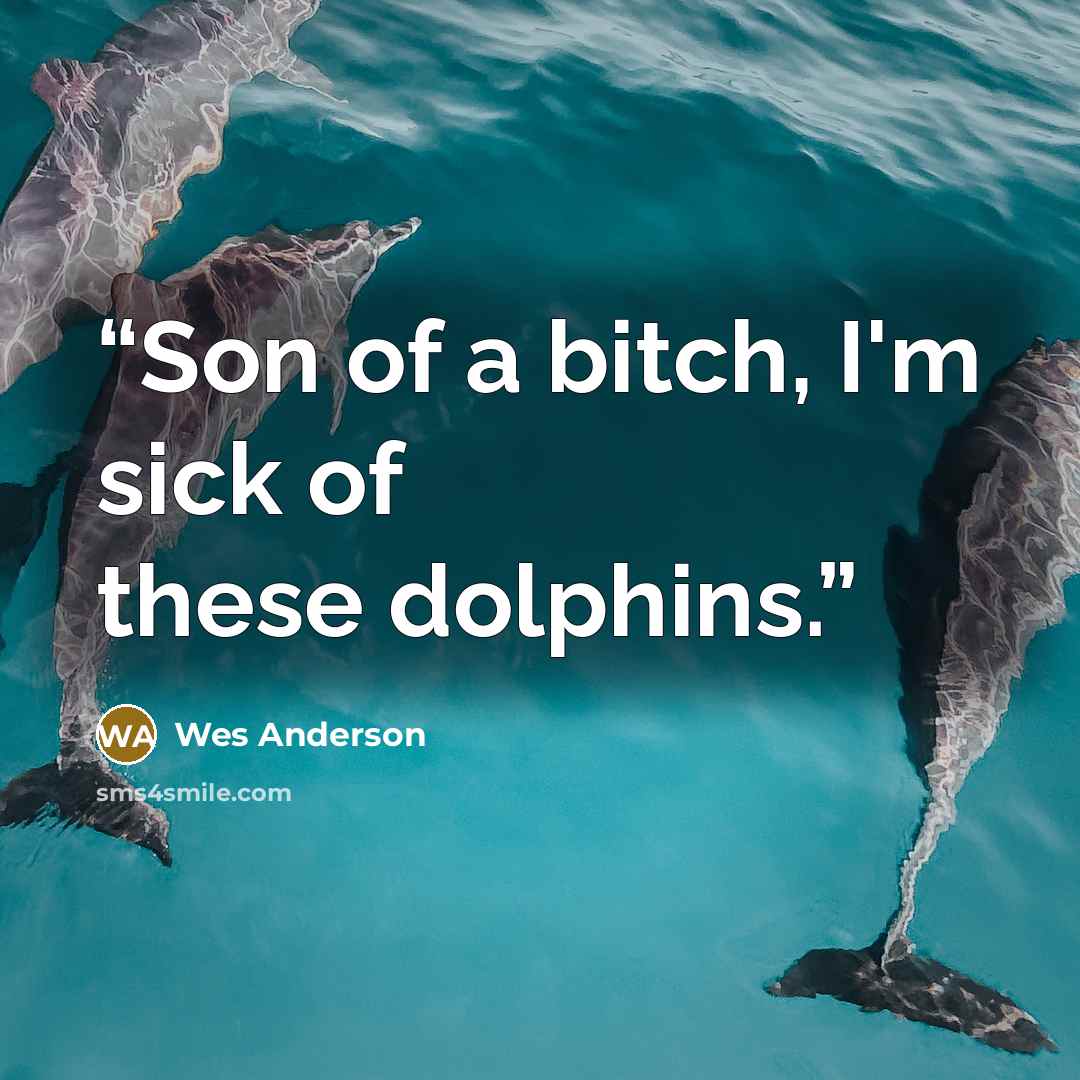 “Son of a bitch, I'm sick of these dolphins.” quote by Wes Anderson