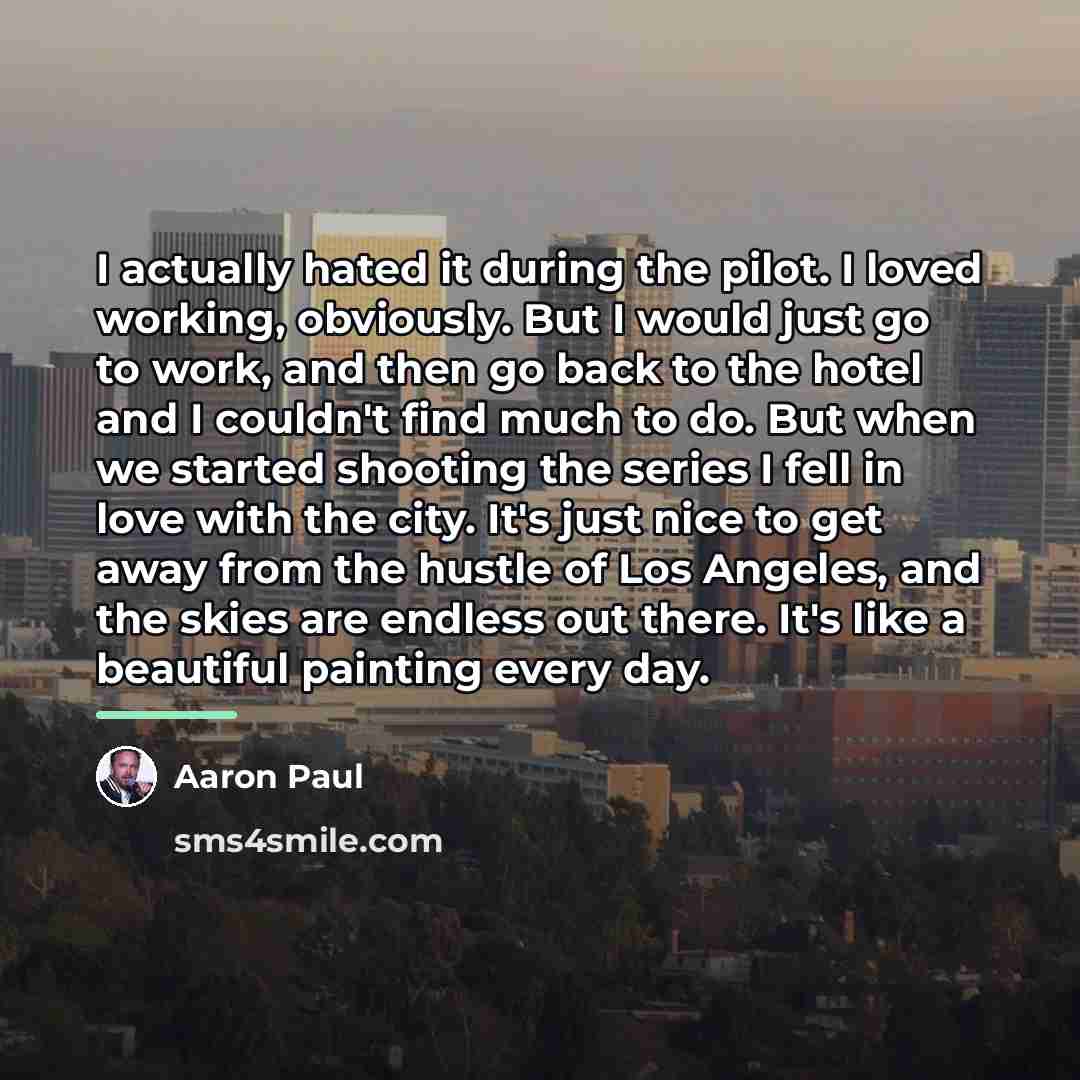 “I actually hated it during the pilot. I loved working,…” quote by Aaron Paul