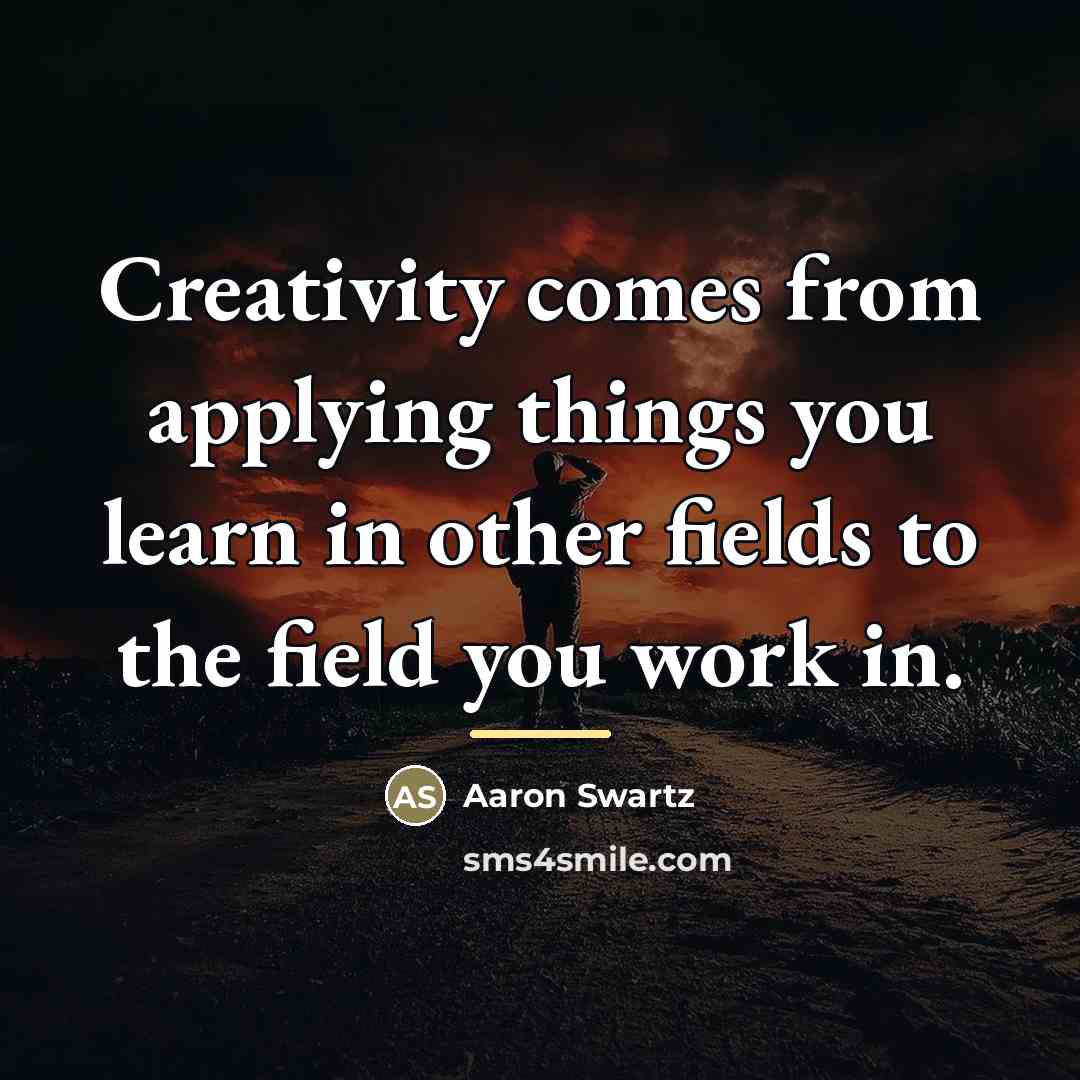 “Creativity comes from applying things you learn in other fields…” quote by Aaron Swartz
