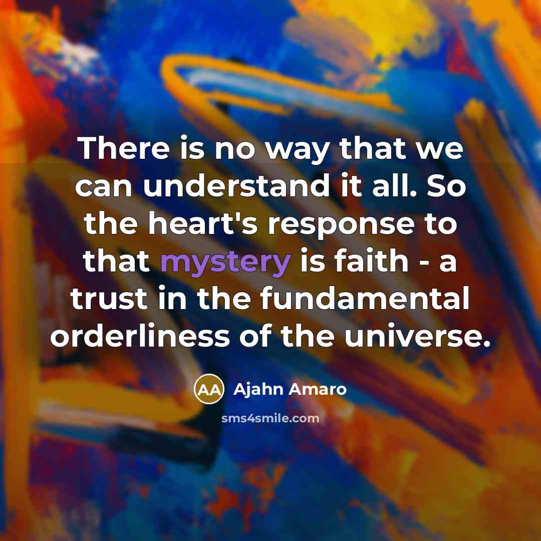 “There is no way that we can understand it all.…” quote by Ajahn Amaro