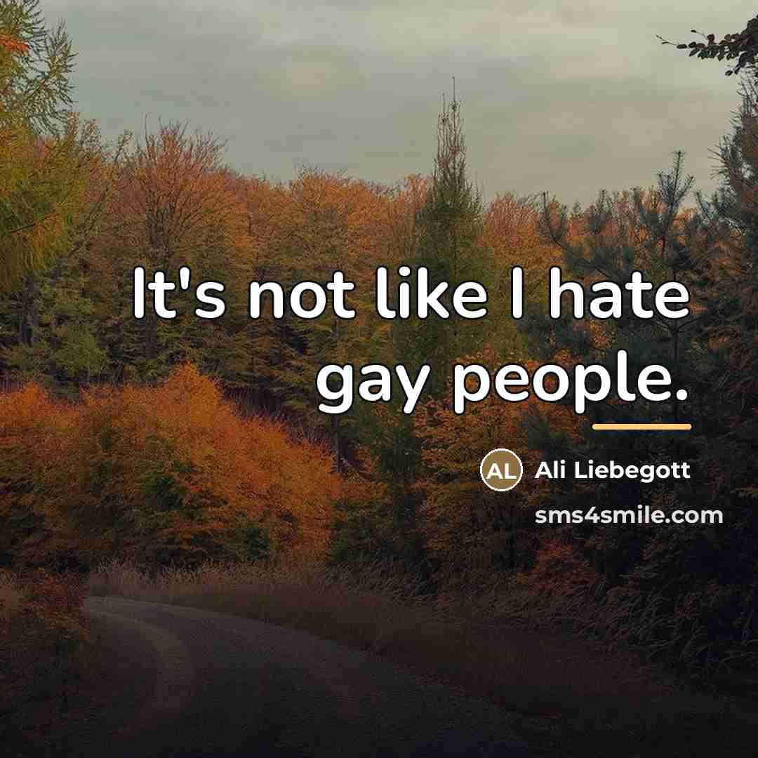 “It's not like I hate gay people.…” quote by Ali Liebegott